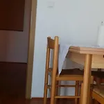 Sandra Hvar * フヴァル