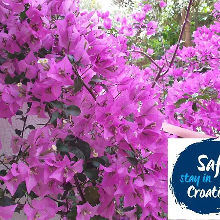 Sandra Hvar Apartament *