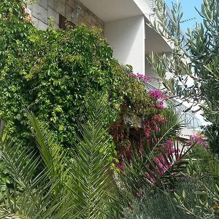 Apartment Sandra Hvar