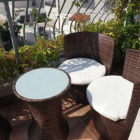 Sandra Hvar هفار