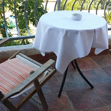 Sandra Hvar هفار