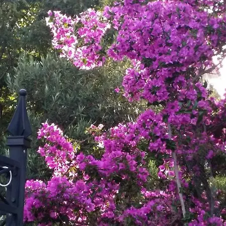 Apartamento Sandra Hvar Hvar Town