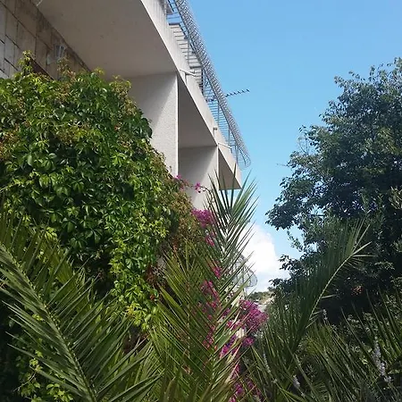 ساندرا