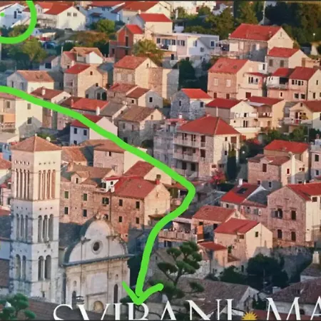 Sandra Hvar هفار