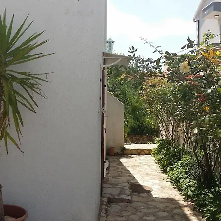 Sandra Hvar هفار