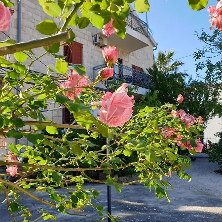 ساندرا