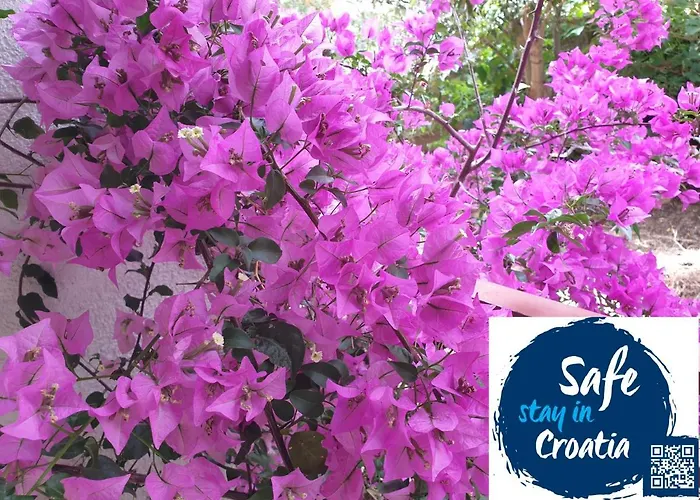 Sandra Hvar דירה *