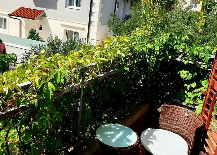 Sandra Hvar חוואר