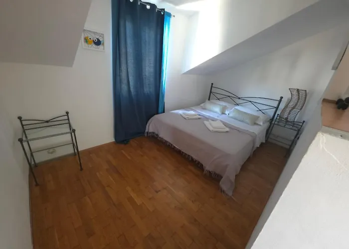 Sandra Hvar חוואר