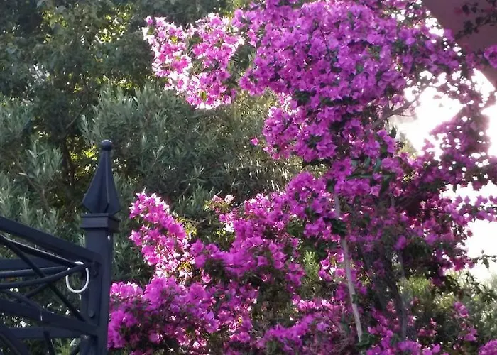 דירה Sandra Hvar חוואר