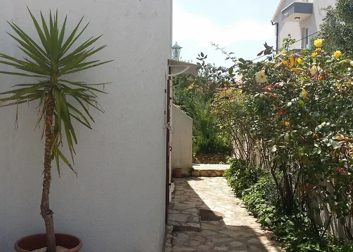 Sandra Hvar חוואר