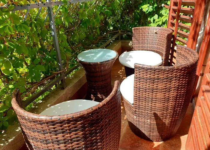 Sandra Hvar * חוואר