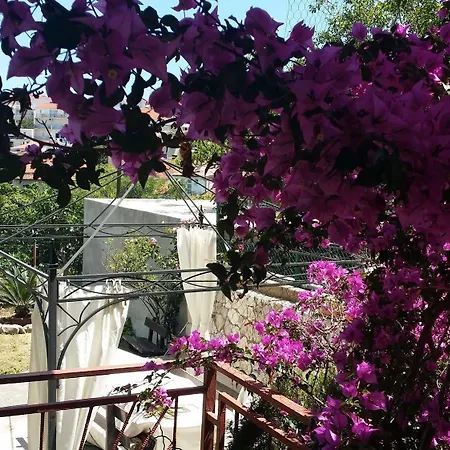 Sandra Hvar Appartement *