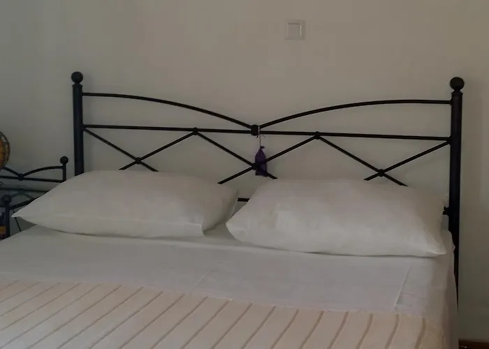 Sandra Hvar 赫瓦尔